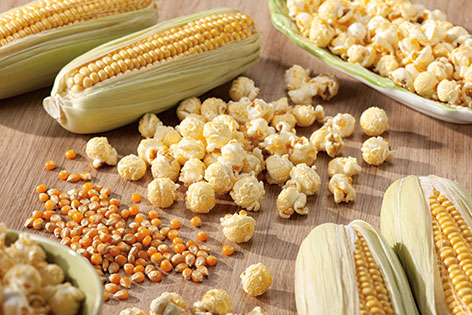 Corn Popcorn Mushroom