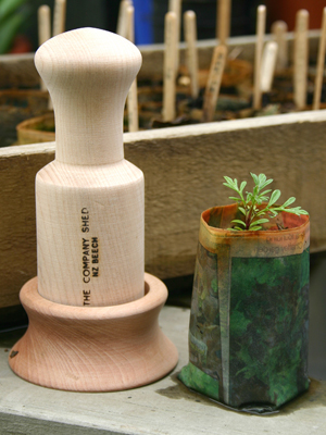 Seedling Potter - Large