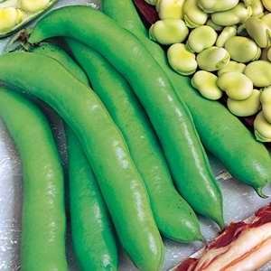 Beans Broad Imperial Green - 500g Bulk