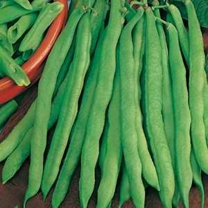 Beans Dwarf French Greencrop
