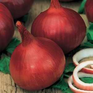 Onion Californian Red