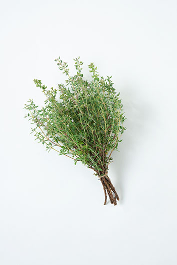 Thyme French Summer